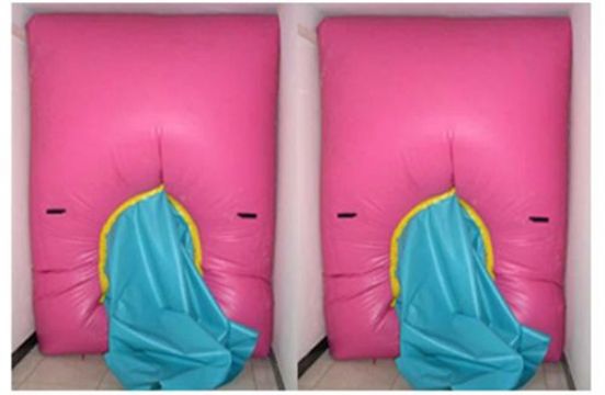 點(diǎn)擊查看詳細(xì)信息<br>標(biāo)題：快速封堵氣囊 閱讀次數(shù)：2690