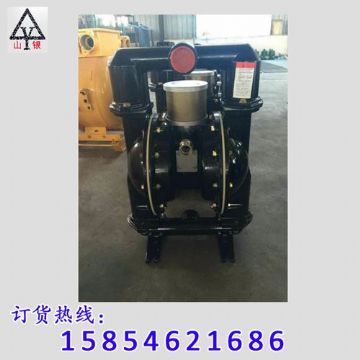 點擊查看詳細信息<br>標(biāo)題：隔膜泵_氣動隔膜泵_隔膜泵廠家 閱讀次數(shù)：1725