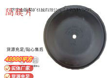 點(diǎn)擊查看詳細(xì)信息<br>標(biāo)題：氣動(dòng)隔膜泵配件-隔膜片 閱讀次數(shù)：272
